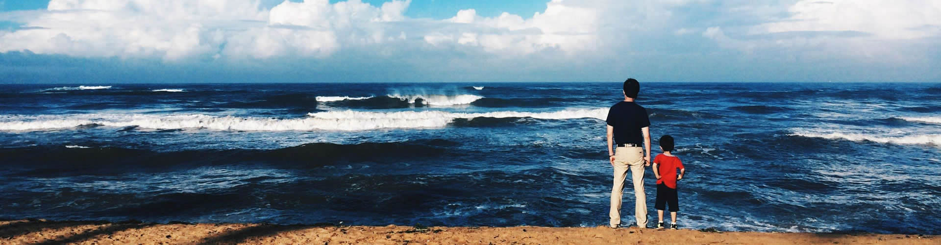 自助外贸猫首页图展示